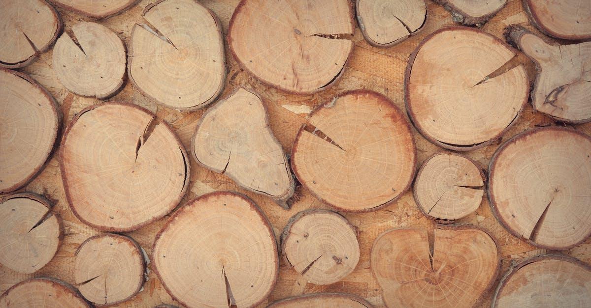 Find den fedeste træbænk til hjemmet