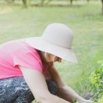 Fra Vild Jungle til Perfekt Paradis: Transformér din have med professionel hjælp