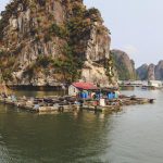 Bedste aktiviteter når du rejser til Vietnam
